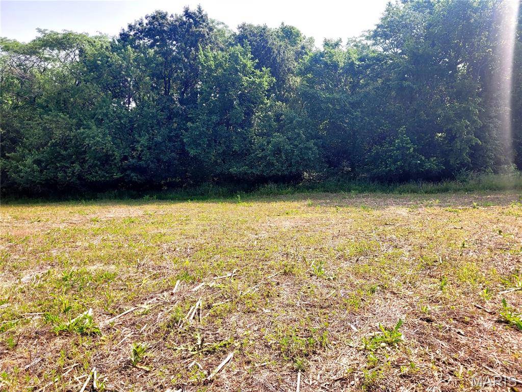 Bowling Green, MO 63334,0 Highway 54 (6.2+/- Acres)