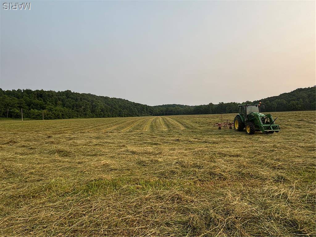 Greenville, MO 63944,000 State Highway D