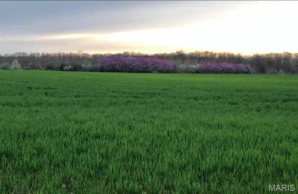 Jonesburg, MO 63351,0 Kelley (20+/- Acres) LN