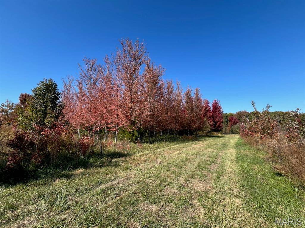 Jonesburg, MO 63351,0 Kelley (20+/- Acres) LN