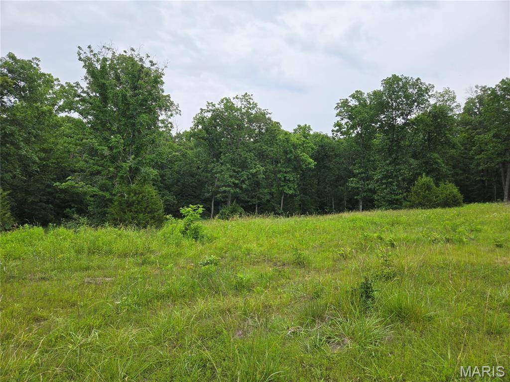 Wright City, MO 63390,0-1 Mark Peterson DR