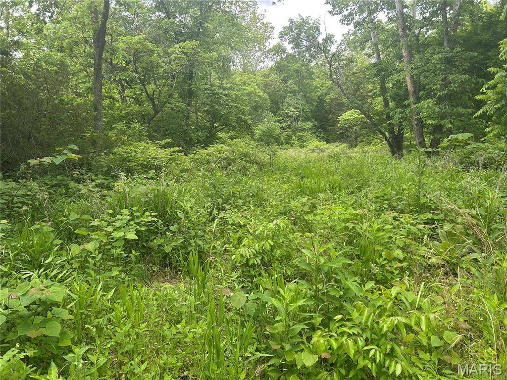 Unincorporated, MO 65324,5025 Kolb Hollow RD