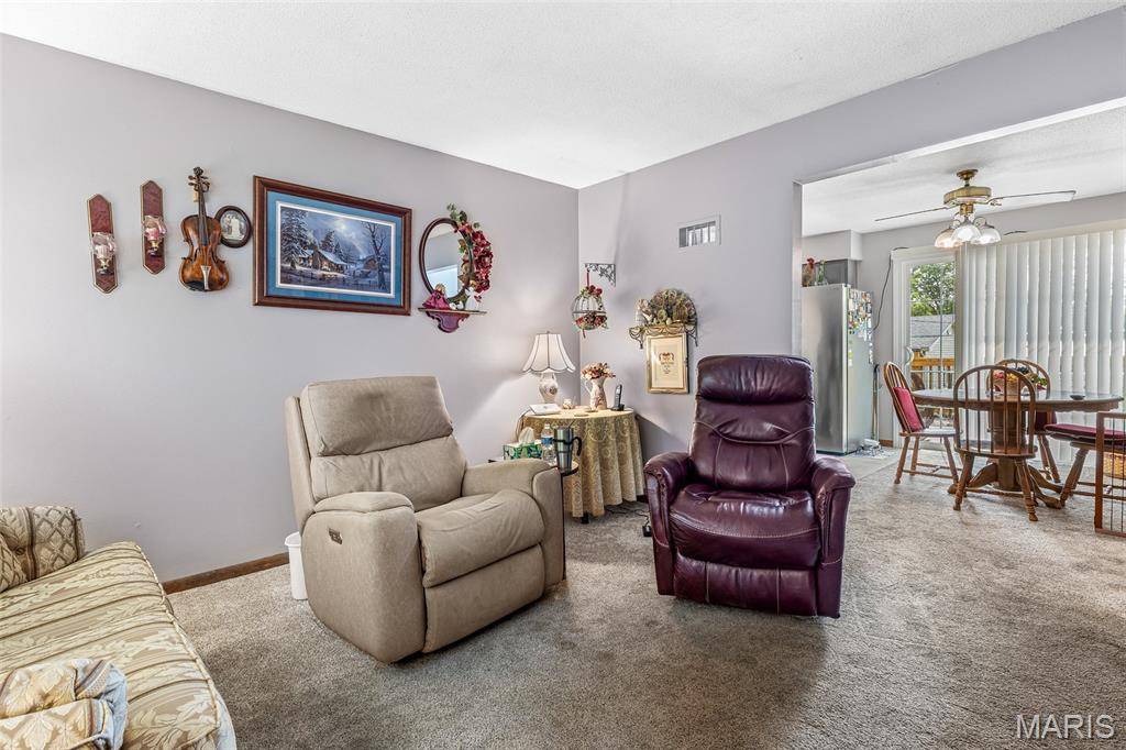 Farmington, MO 63640,1301 Camillia ST