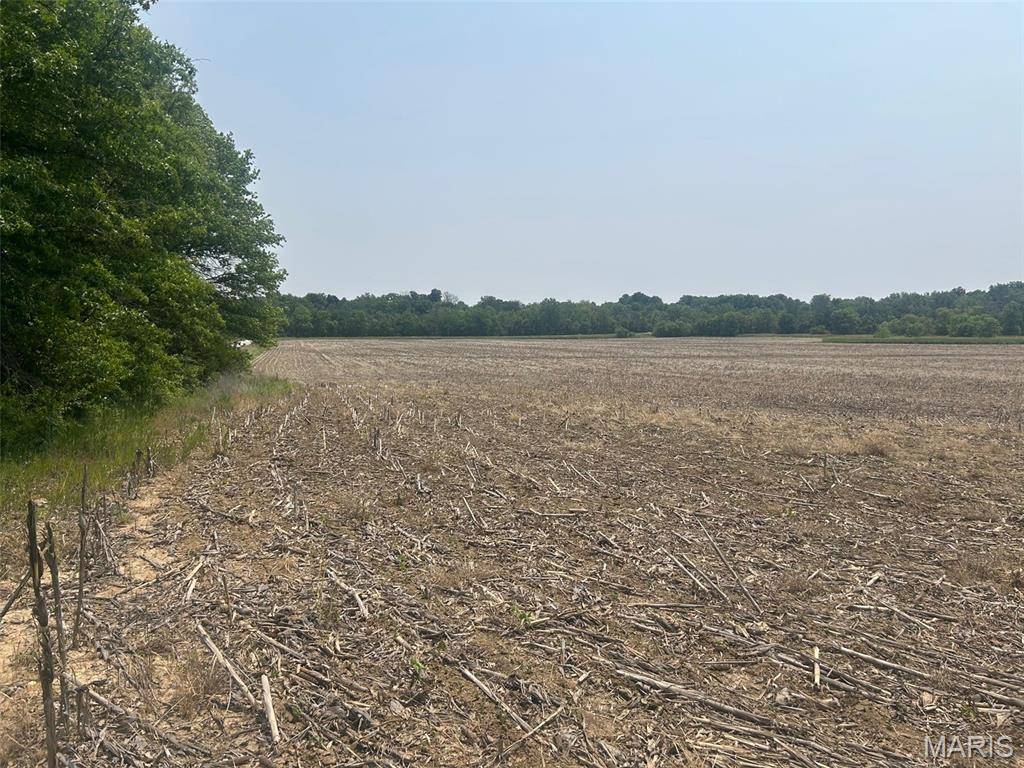 Mexico, MO 65265,00 Audrain Road 929