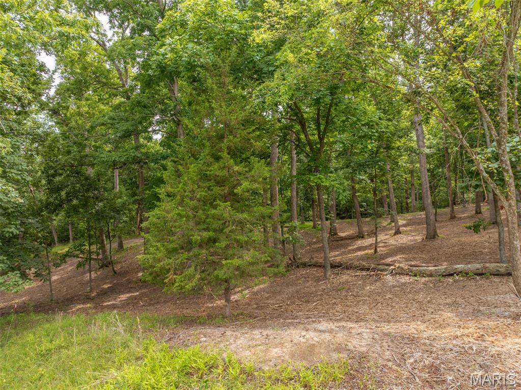 Innsbrook, MO 63390,463 Foxfire Crossing DR