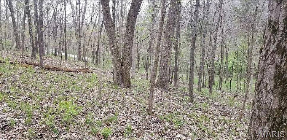 Wildwood, MO 63038,1500 Summit On Pond LN