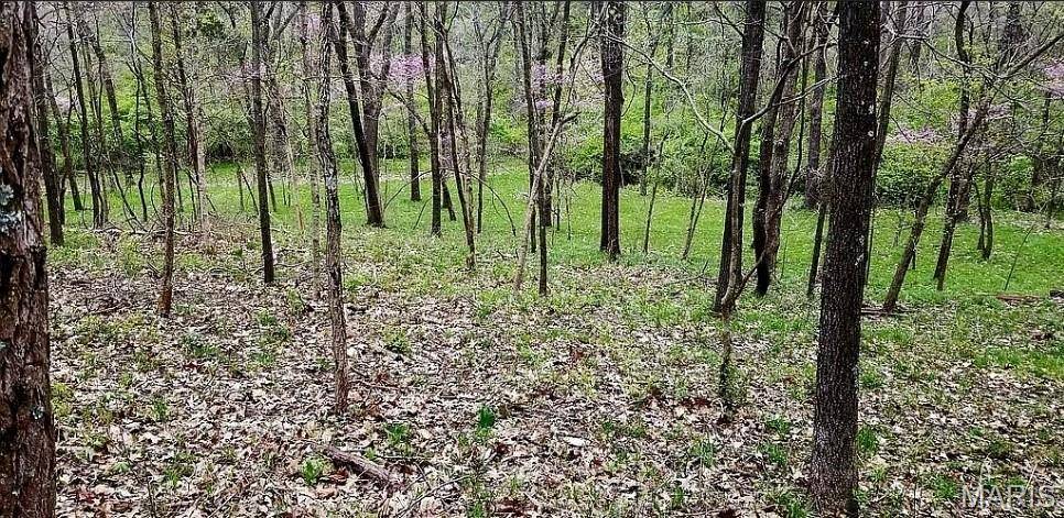 Wildwood, MO 63038,1500 Summit On Pond LN