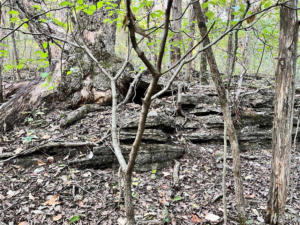 Union, MO 63084,219 Fawn DR