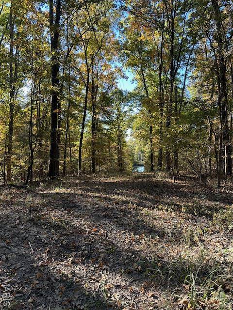 Jackson, MO 63755,747 Hohokam LN