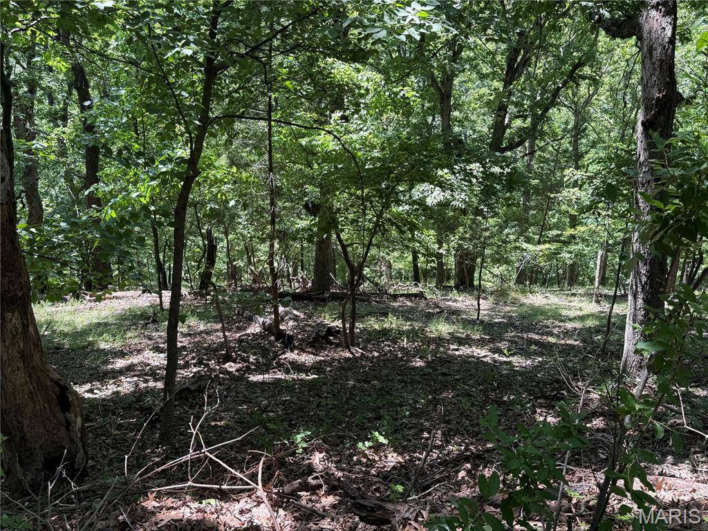 Wildwood, MO 63021,1361 Bear Canyon RD
