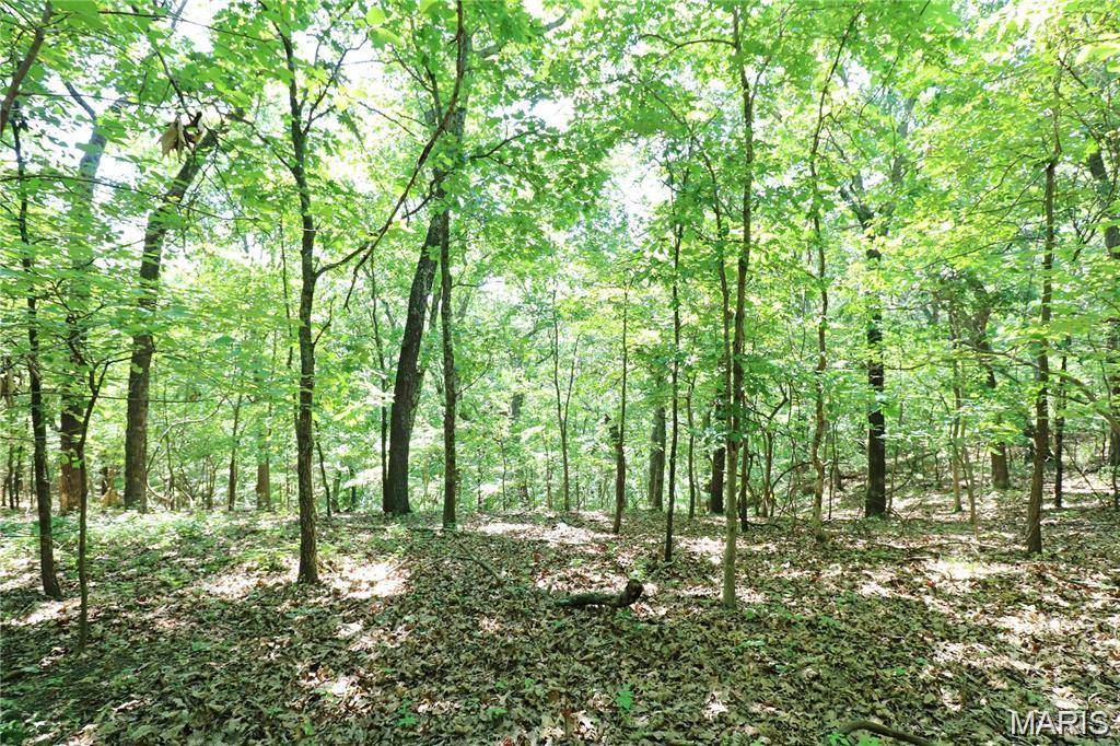 Barnhart, MO 63012,(3.85 acres) Hi View DR