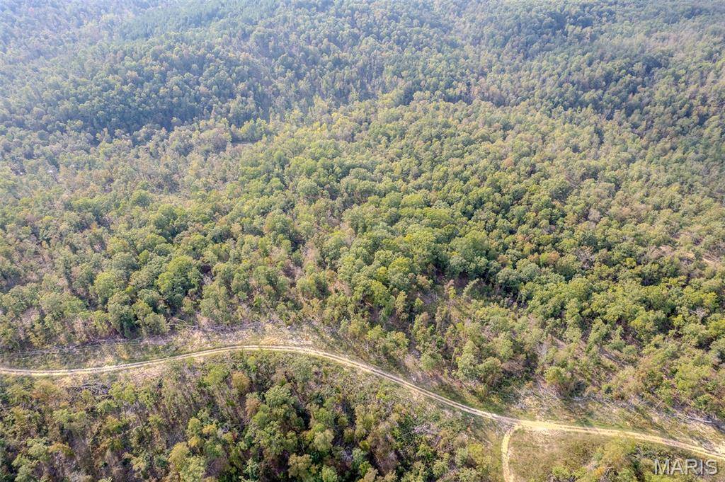 Fredericktown, MO 63645,0 Madison CR 410 (119D) #119D
