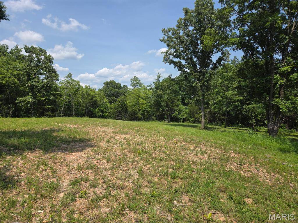 Richwoods, MO 63071,11485 Click RD