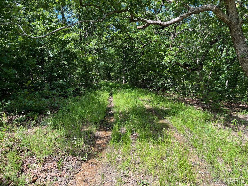Potosi, MO 63664,0 Delbridge Rd