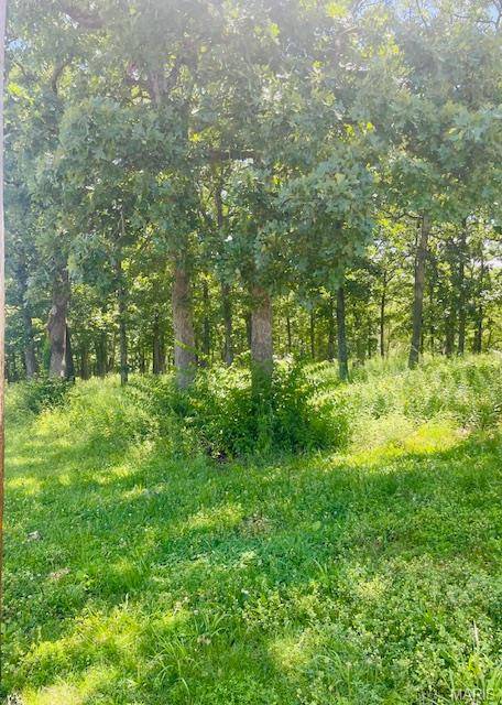 Owensville, MO 65066,0 Krausetown RD