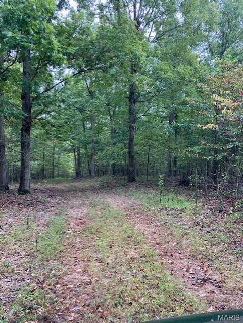 Fredericktown, MO 63645,165 Madison CR 410
