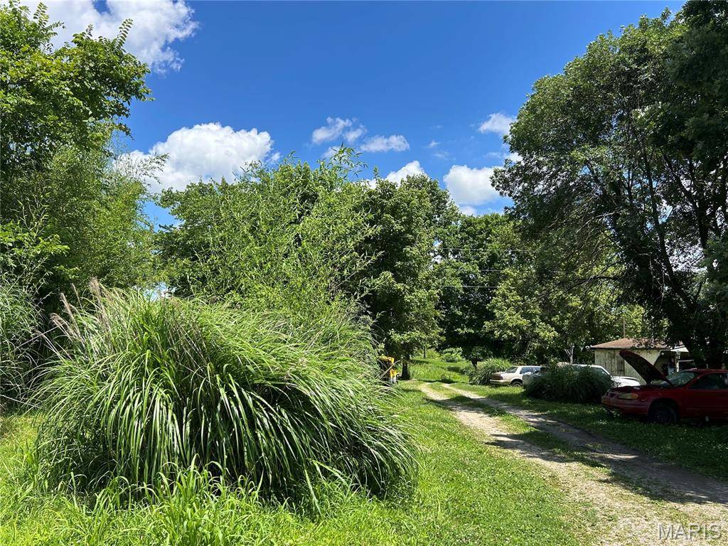 Dongola, IL 62926,255 Kimber DR