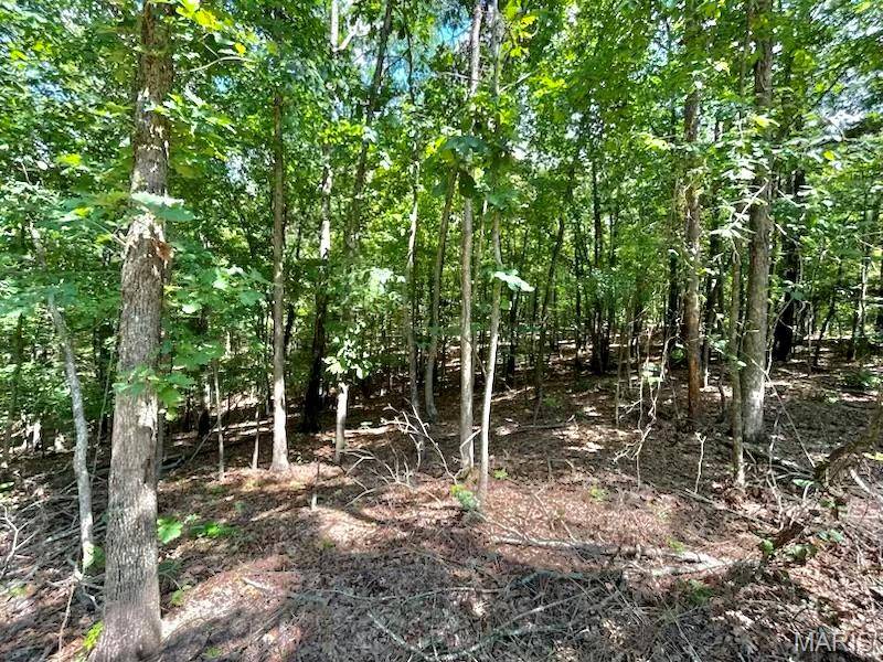 Piedmont, MO 63944,0 County Road 373