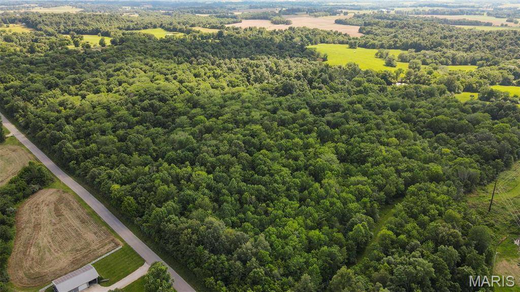 Jackson, MO 63755,0 County Road 442
