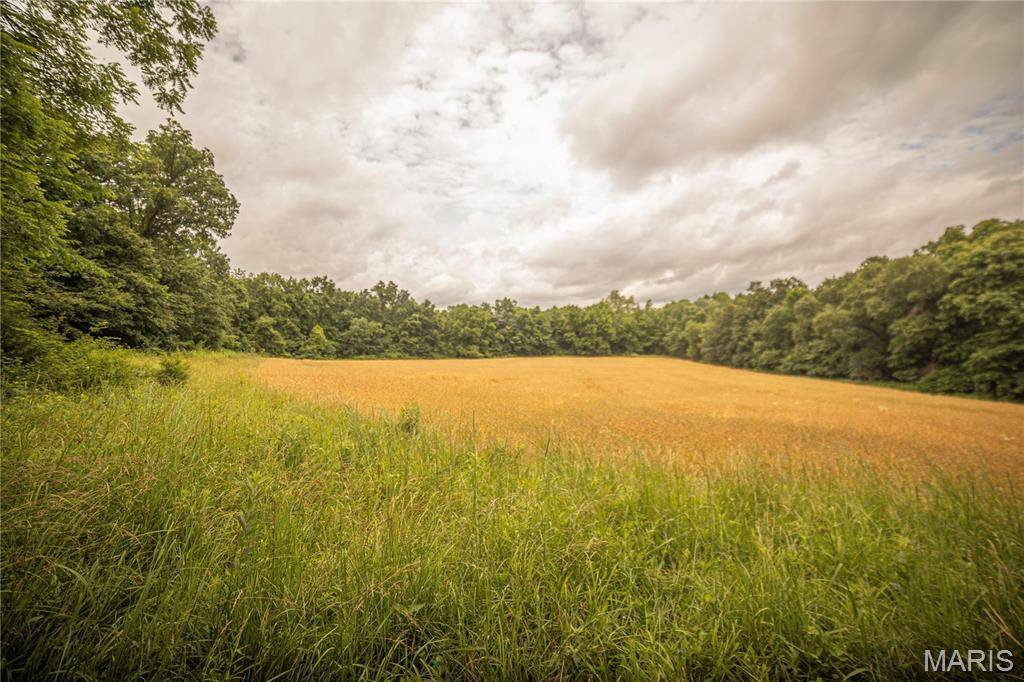 Bellflower, MO 63333,0 Collins Rd Collins