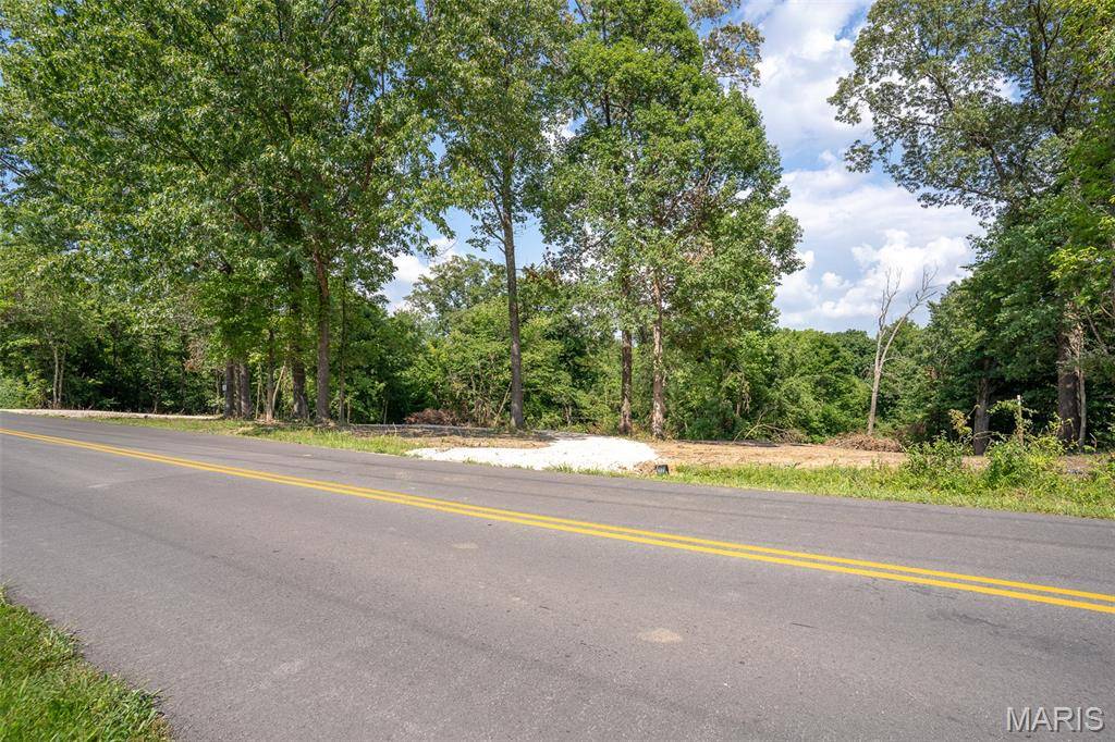 Cape Girardeau, MO 63701,0 W Cape Rock Drive (LOT# 1)