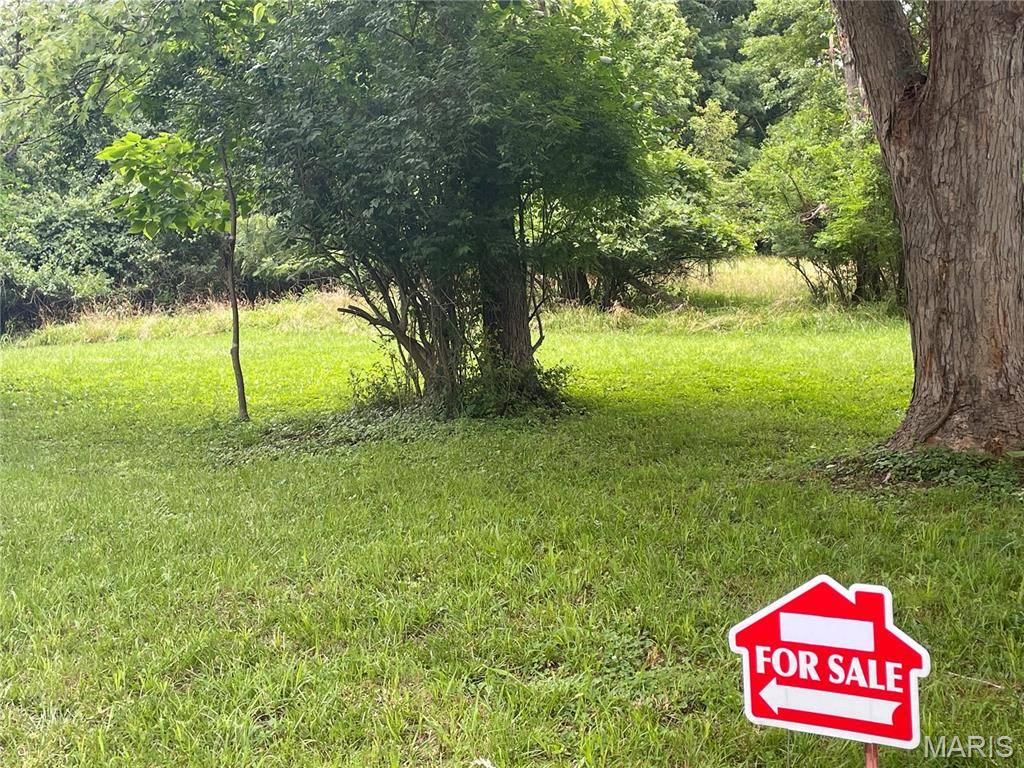 Wildwood, MO 63038,613 Washington AVE
