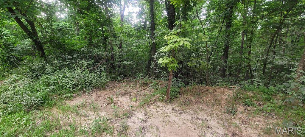 De Soto, MO 63020,2173 Big River Trail