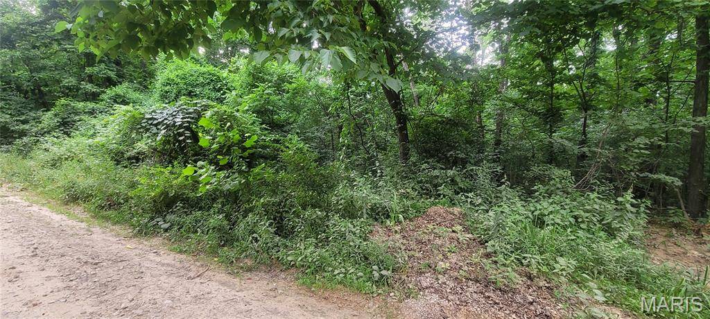 De Soto, MO 63020,2173 Big River Trail