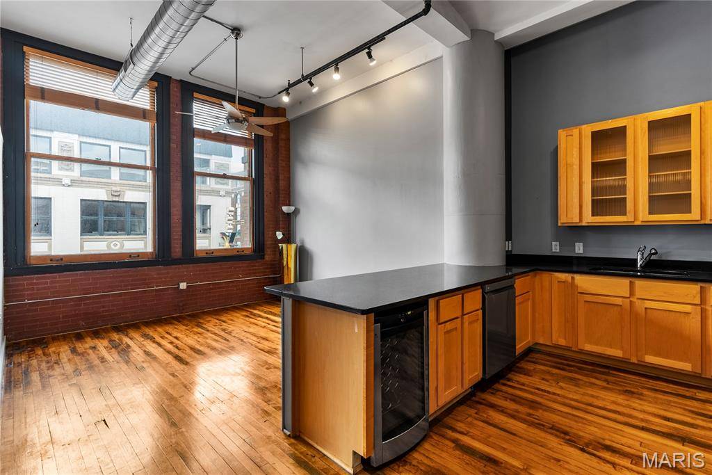St Louis, MO 63103,1520 Washington AVE #606