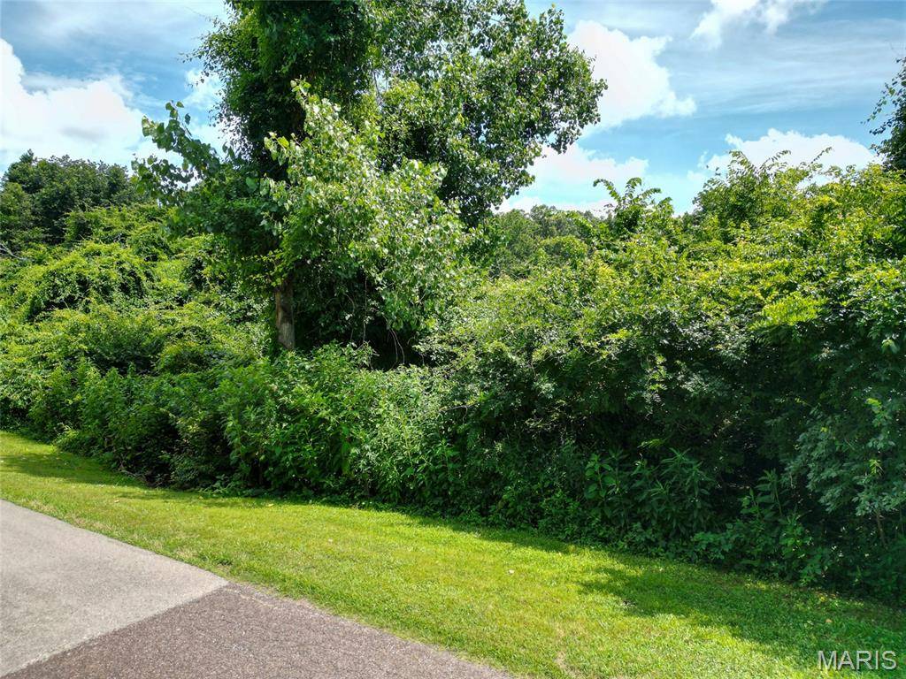 Festus, MO 63028,1960 Sugar Springs RD