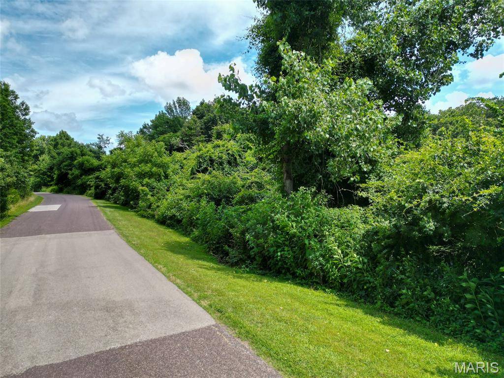 Festus, MO 63028,1960 Sugar Springs RD