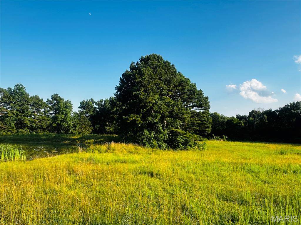 Mexico, MO 65265,Tract 3 Audrain Rd 935