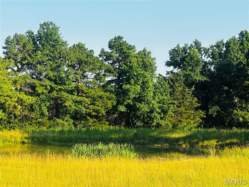 Mexico, MO 65265,Tract 5 Hwy FF