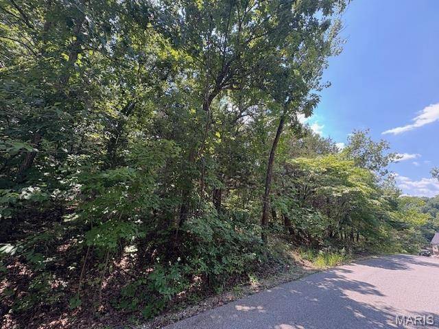 Hillsboro, MO 63050,02 Camptown Trace