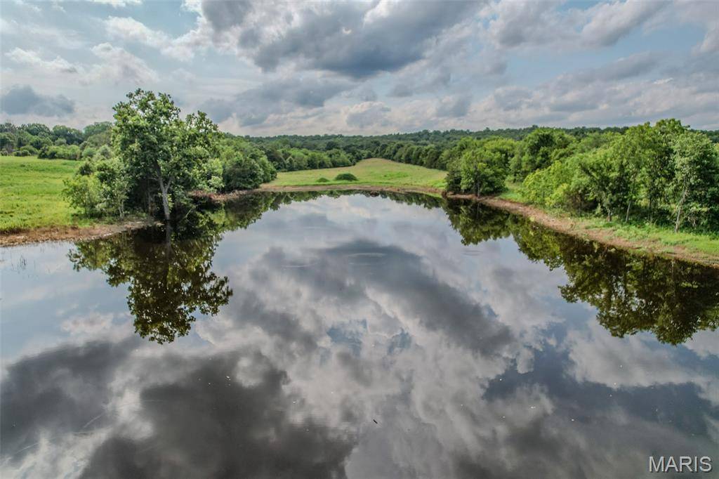 Lebanon, MO 65536,TBD Honeysuckle