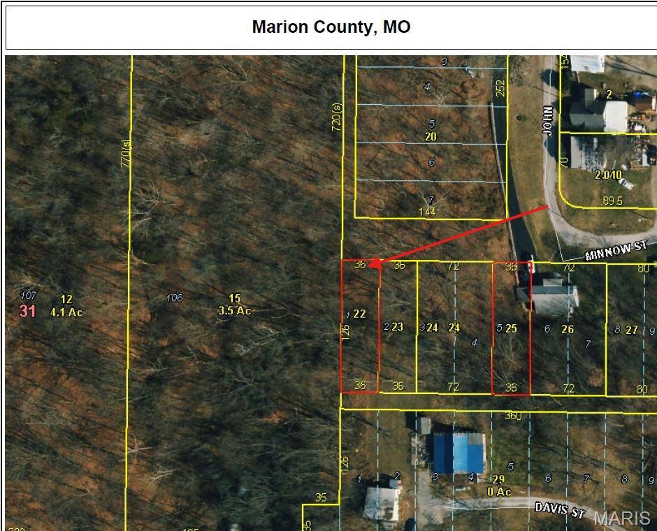 Hannibal, MO 63401,0 Minnow ST