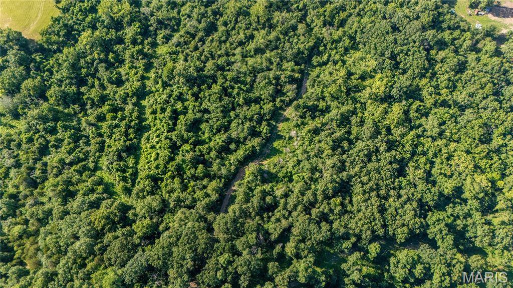 New London, MO 63459,0 Old 79 Highway T