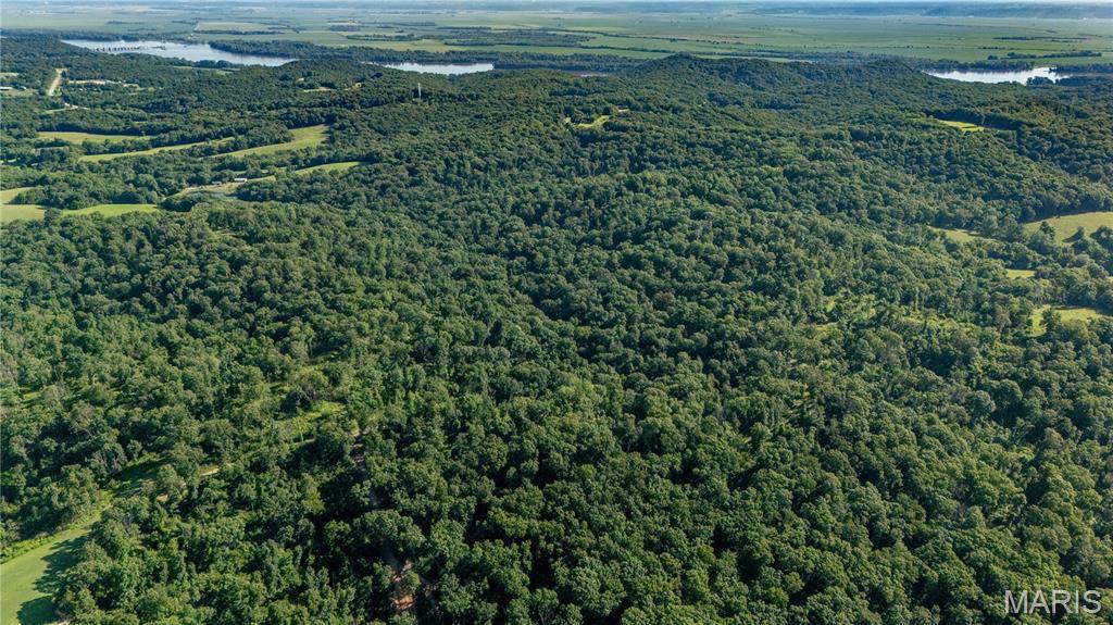 New London, MO 63459,0 Old 79 Highway T