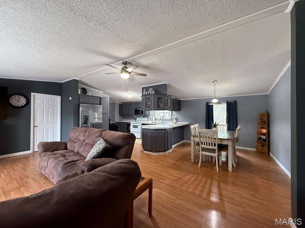 De Soto, MO 63020,205 Phidias PL