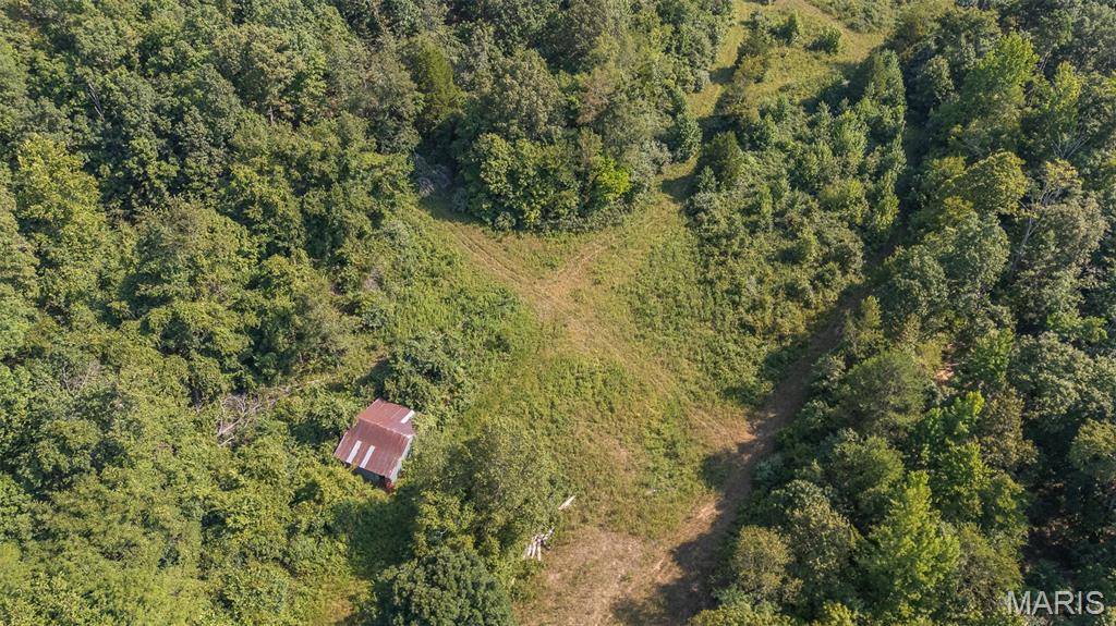 Greenville, MO 63944,3822 Wayne Route BB