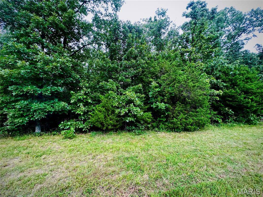 Salem, MO 65560,000 Co Rd 4180 Lot 7