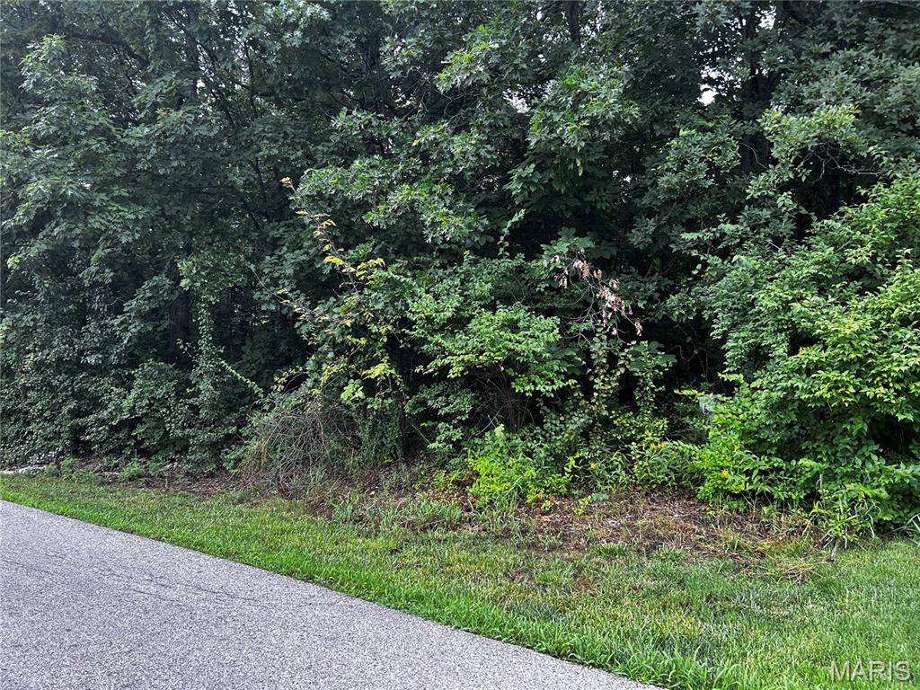Foristell, MO 63348,507 Incline Village (Fairway Dr N)
