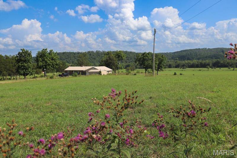 Fredericktown, MO 63621,9111 Highway E