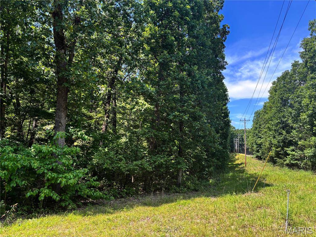 Unincorporated, MO 63383,20 +/- Acres Fire Tower Rd.