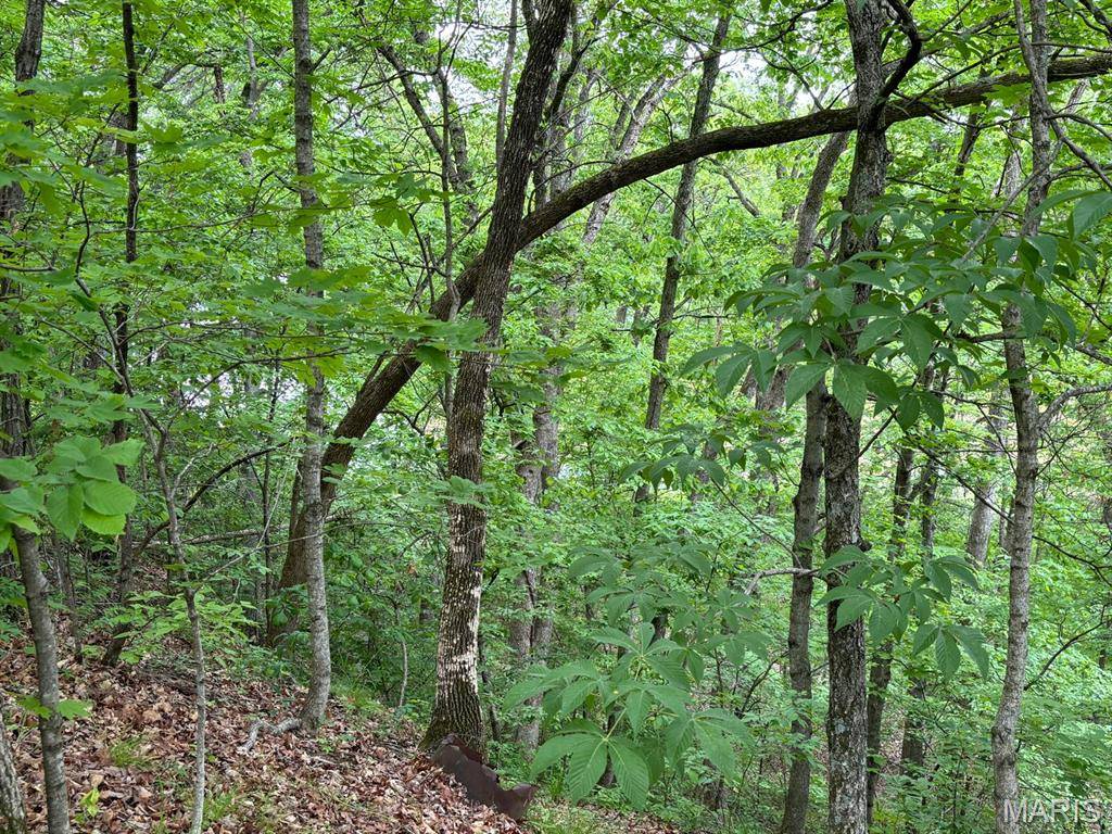 Santa Fe, MO 65282,13 Monroe Road 647