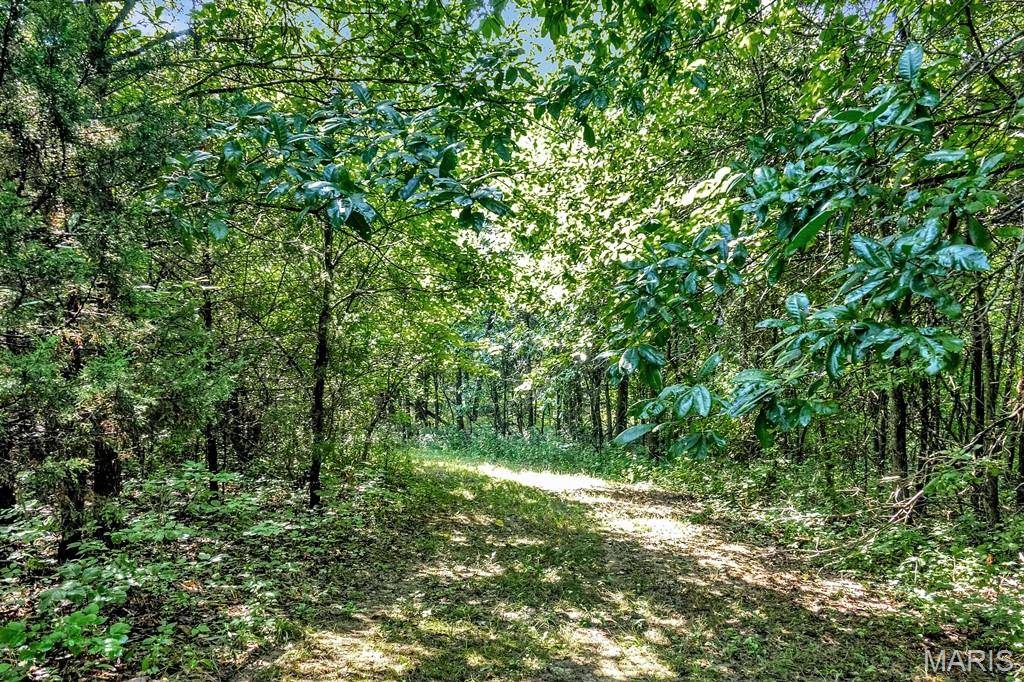 Troy, MO 63379,0 Cave Farm Rd. (86.91+/- Acres)