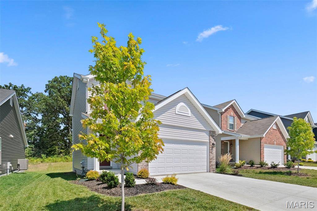 Wentzville, MO 63385,153 Day Lily LN