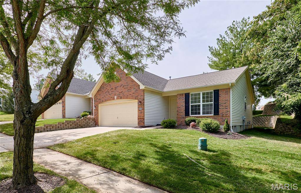 Chesterfield, MO 63017,234 Cordovan Commons Pkwy