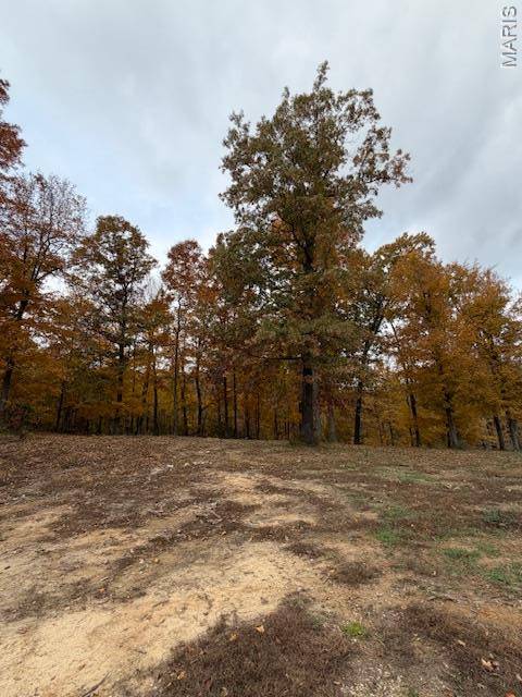 Jackson, MO 63755,0 Lots 143-144, 179-180 Saddlebrooke Ridge