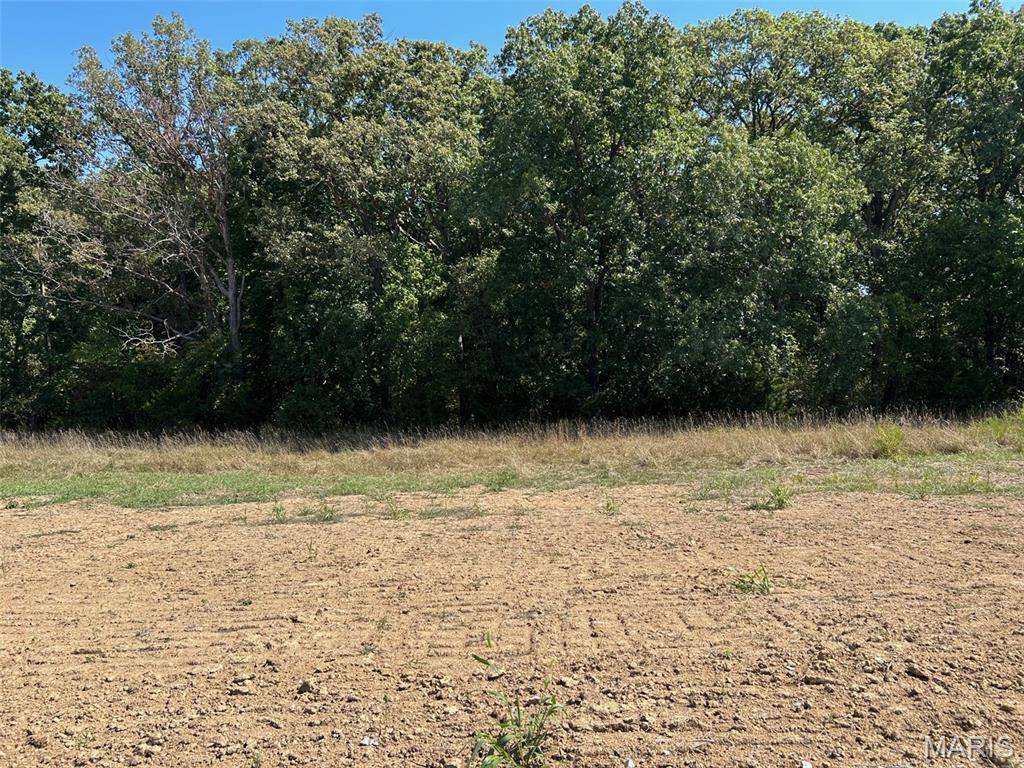 Wentzville, MO 63385,Lot 38 HOLT FARMS CT